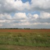 IMG_6497