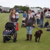 Family Fun
