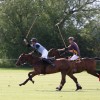 IMG_8250