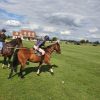 learning polo