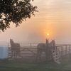 morning mist